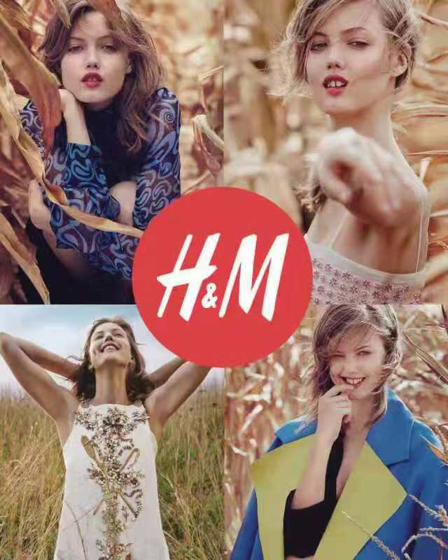 渭南招引的大企业,渭南落户西安