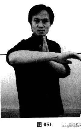 咏春八手招式完整版,咏春八手林正英完整版