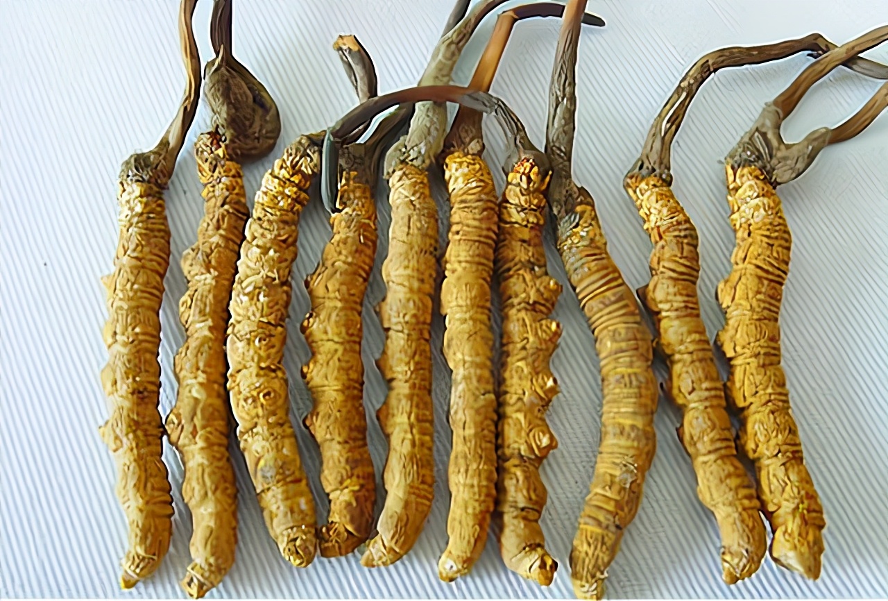 曾经被人捧上天的野草,曾经万人追捧的神药如今无人问津