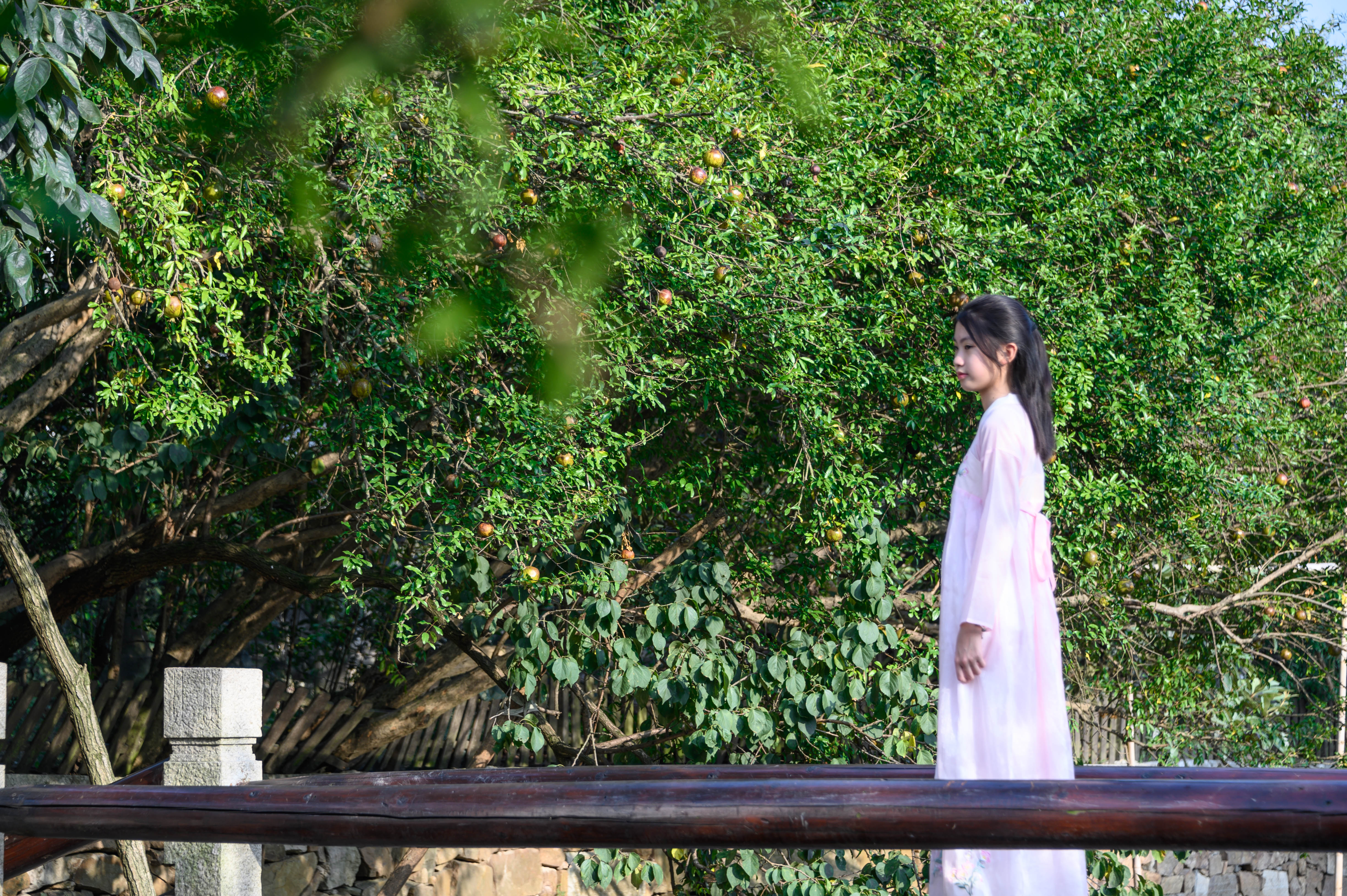 鑻忓窞瑗垮北鏈夊摢浜涘彜鏉戣惤,鑻忓窞瑗垮北鐨勫彜鏉戣惤