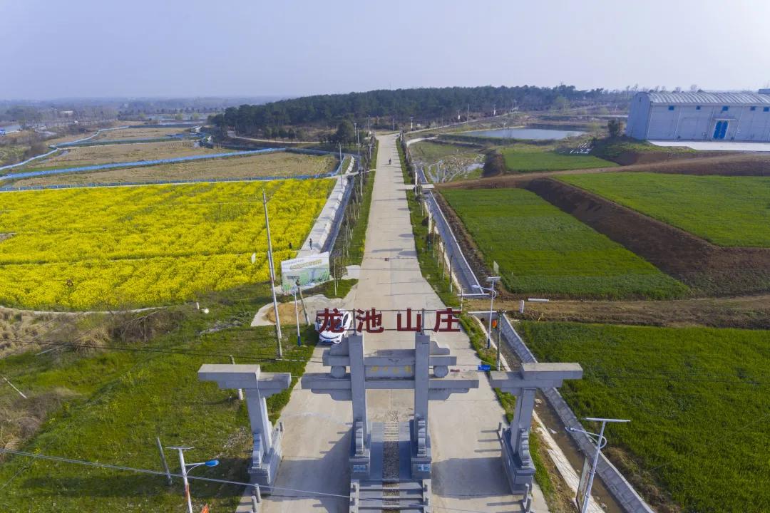 应来之城食用盐生产,应来之城餐馆