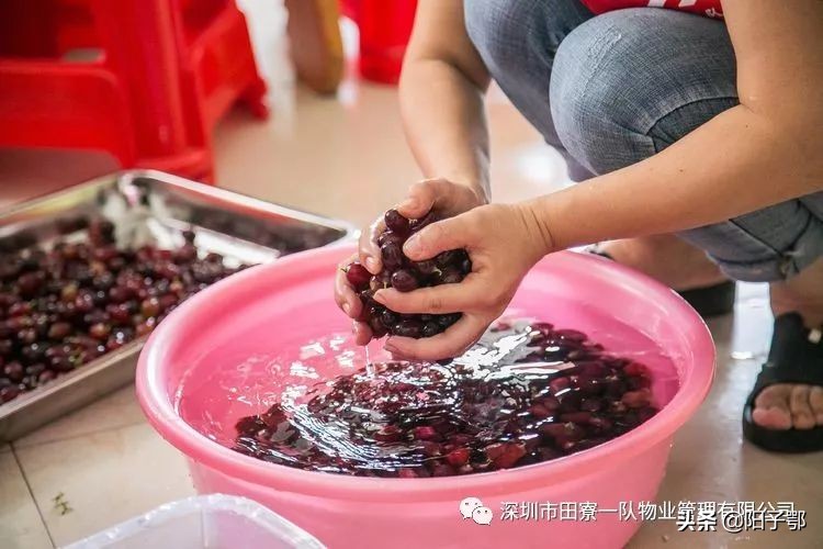 锦田湾我是护旗手,我是护旗手主题活动