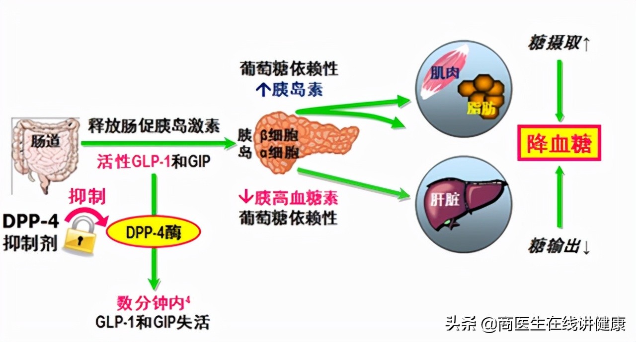 糖尿病伤着肾吃什么药最好,糖尿病损伤神经吃点什么药