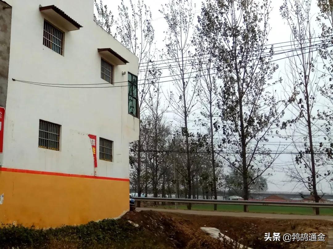 一亩土地等于多少平米,一亩地是多少平方米怎么换算出来