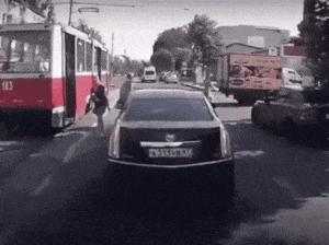 这只鹦鹉一直以为他是一只猴，所以每天都在重复做这个动作