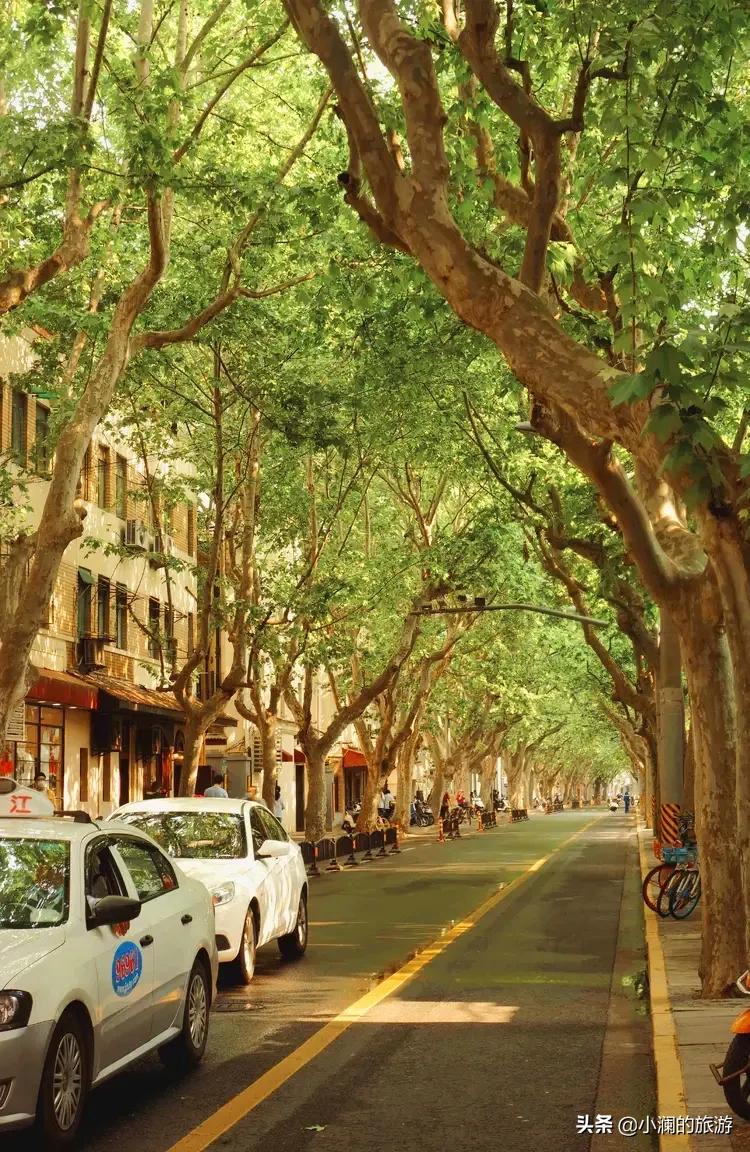 去上海旅游免费必去的地方,上海这几天有哪些免费旅游的地方