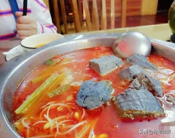 閬典箟鍗佸ぇ鐗硅壊缇庨,璐靛窞閬典箟鍗佸ぇ鐗硅壊缇庨