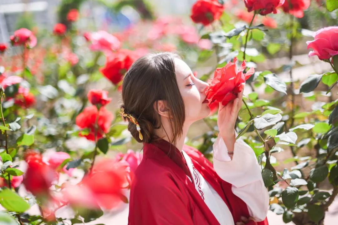 又刷屏了！高新这片花海，惊艳你的朋友圈！