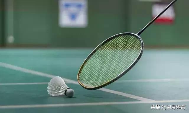 乒乓球拍不打的时候怎么保养,乒乓球拍怎么保养用什么工具