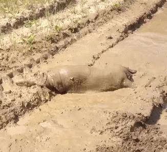 第一次人机大战电影,第一次人机战争