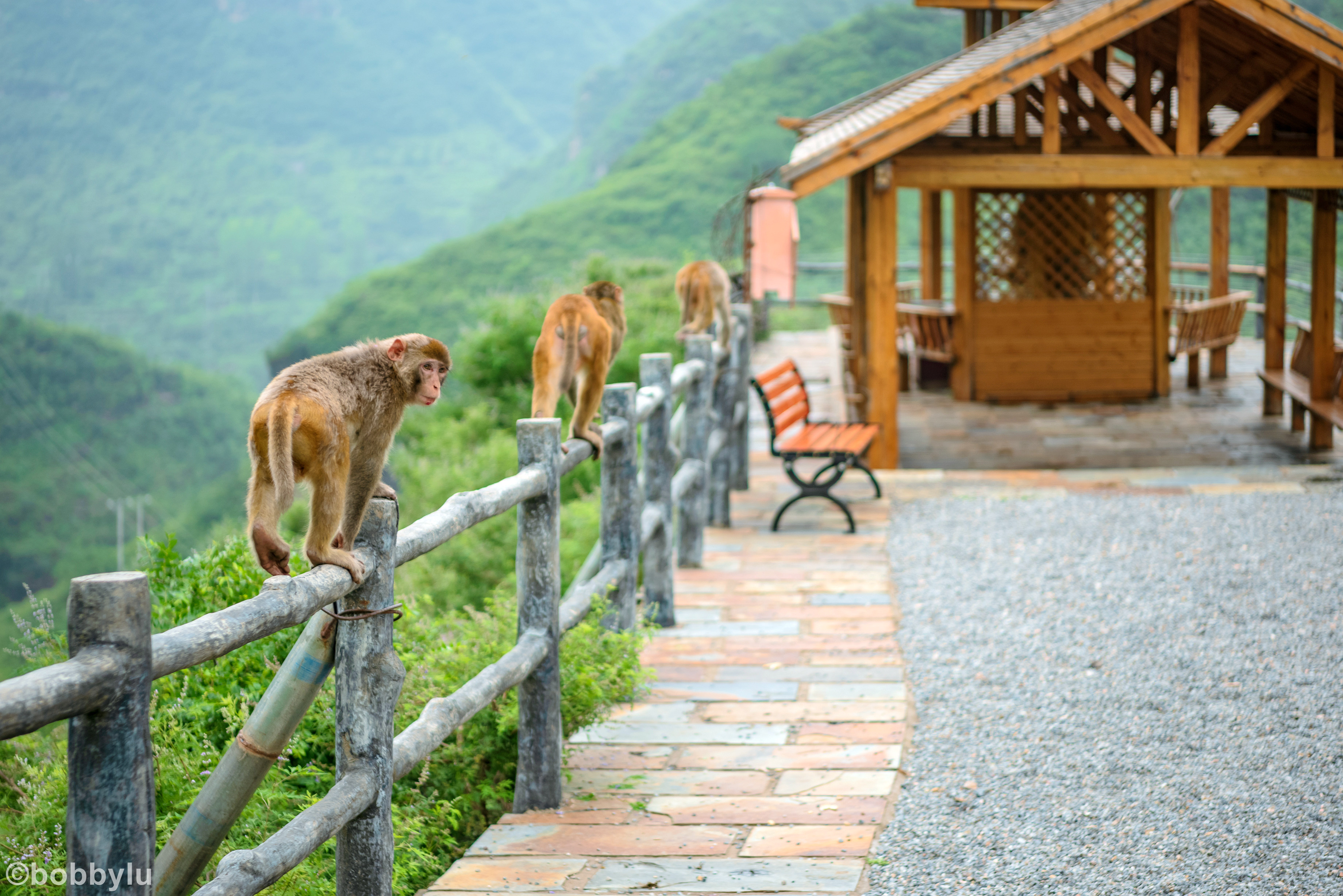 隐藏在深山里的网红景点,隐藏深山古村堪称世外桃源