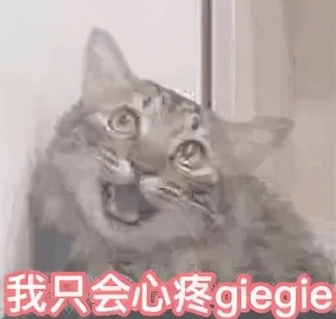 5g冲浪新梗,5g网速冲浪梗合集