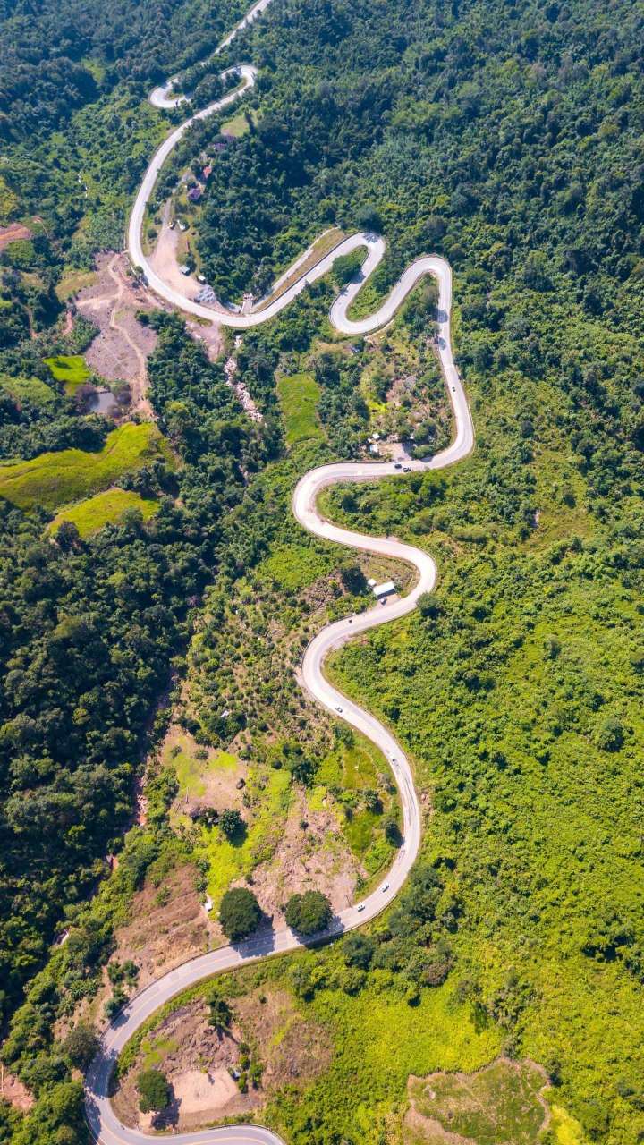 苕之华诗经解释,苕之华诗经讲解