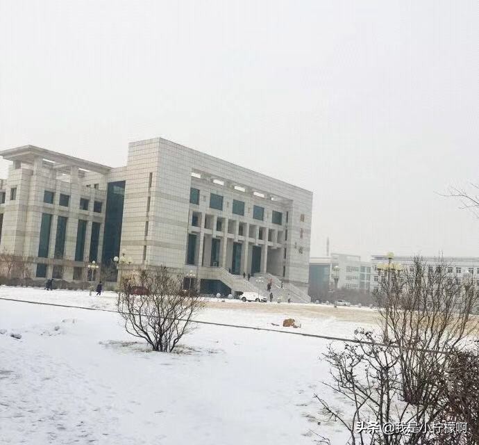 沈阳化工大学-是一所综合性大学化工为主