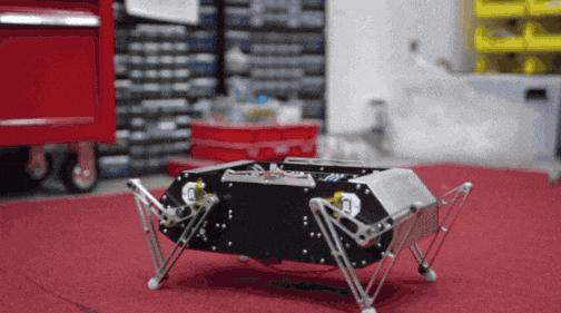 雷军铁蛋售价,雷军机器人铁蛋