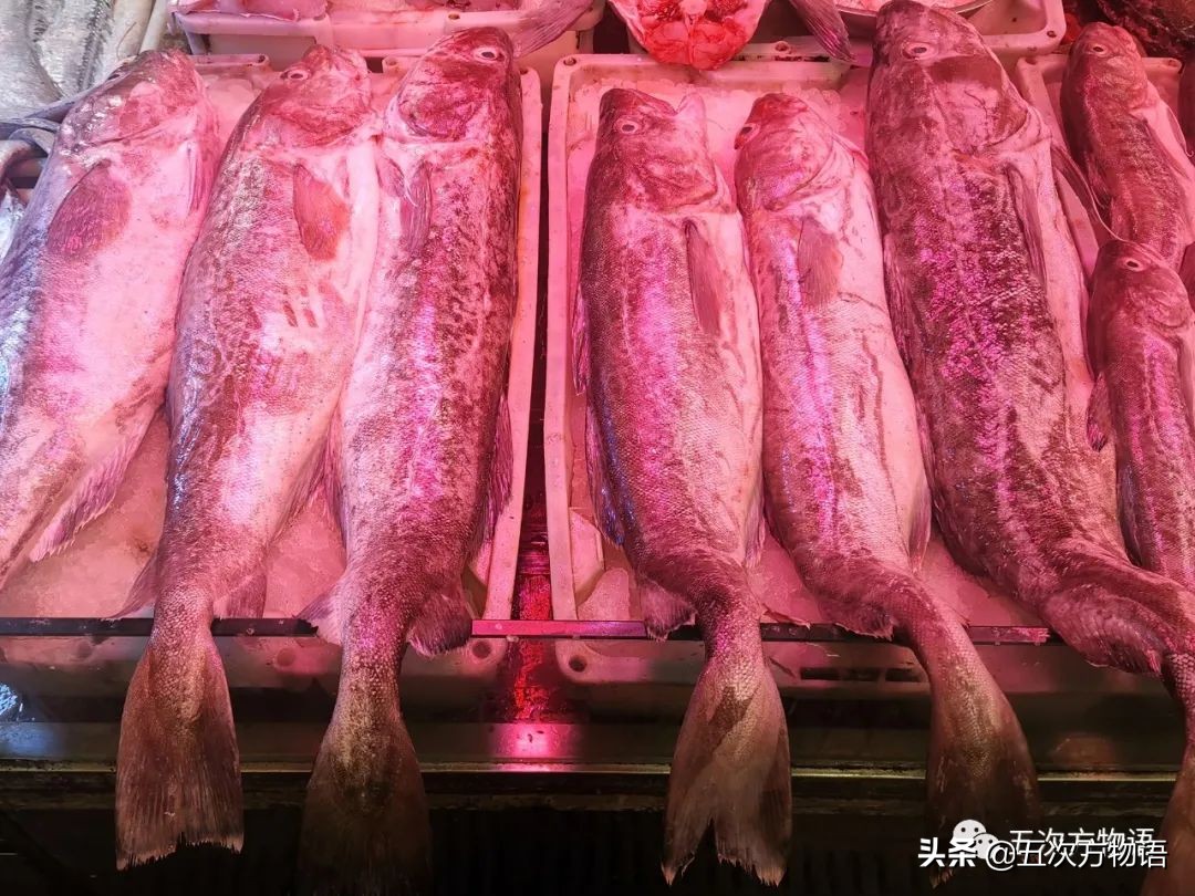 青岛海鲜市场价格表今日,青岛哪个农贸市场海鲜最便宜又好