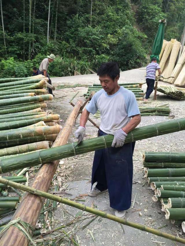 双11最“奇葩”卖家：200元一桶求童子尿，背后深藏感人故事