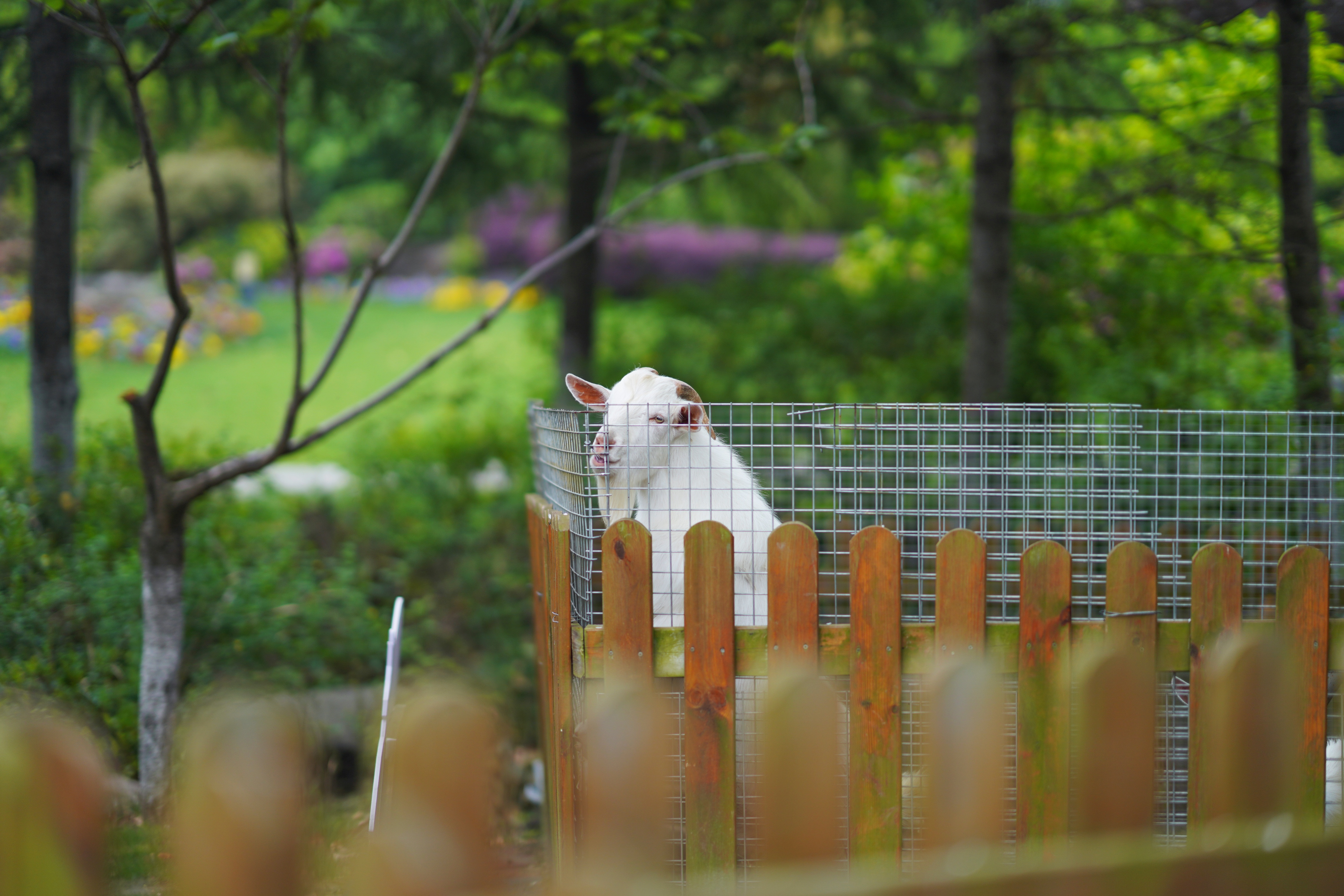 送你一份不走寻常路的苏州攻略，田园风民宿+文艺小清新打卡地