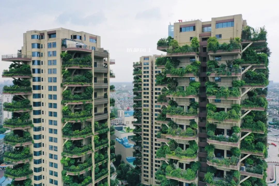 表笑，新都在建筑设计上已逆袭，站稳鄙视链顶端