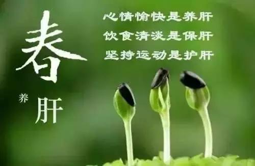 春天补肝养肝喝什么,春天调肝养肝正当时
