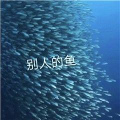 二手影视网站,二手网站在哪里