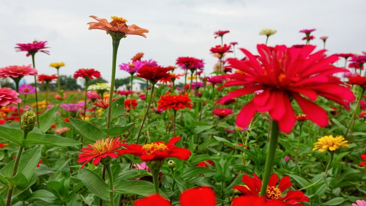 南浔不仅仅只有古镇,跟着我去玩不一样的南浔