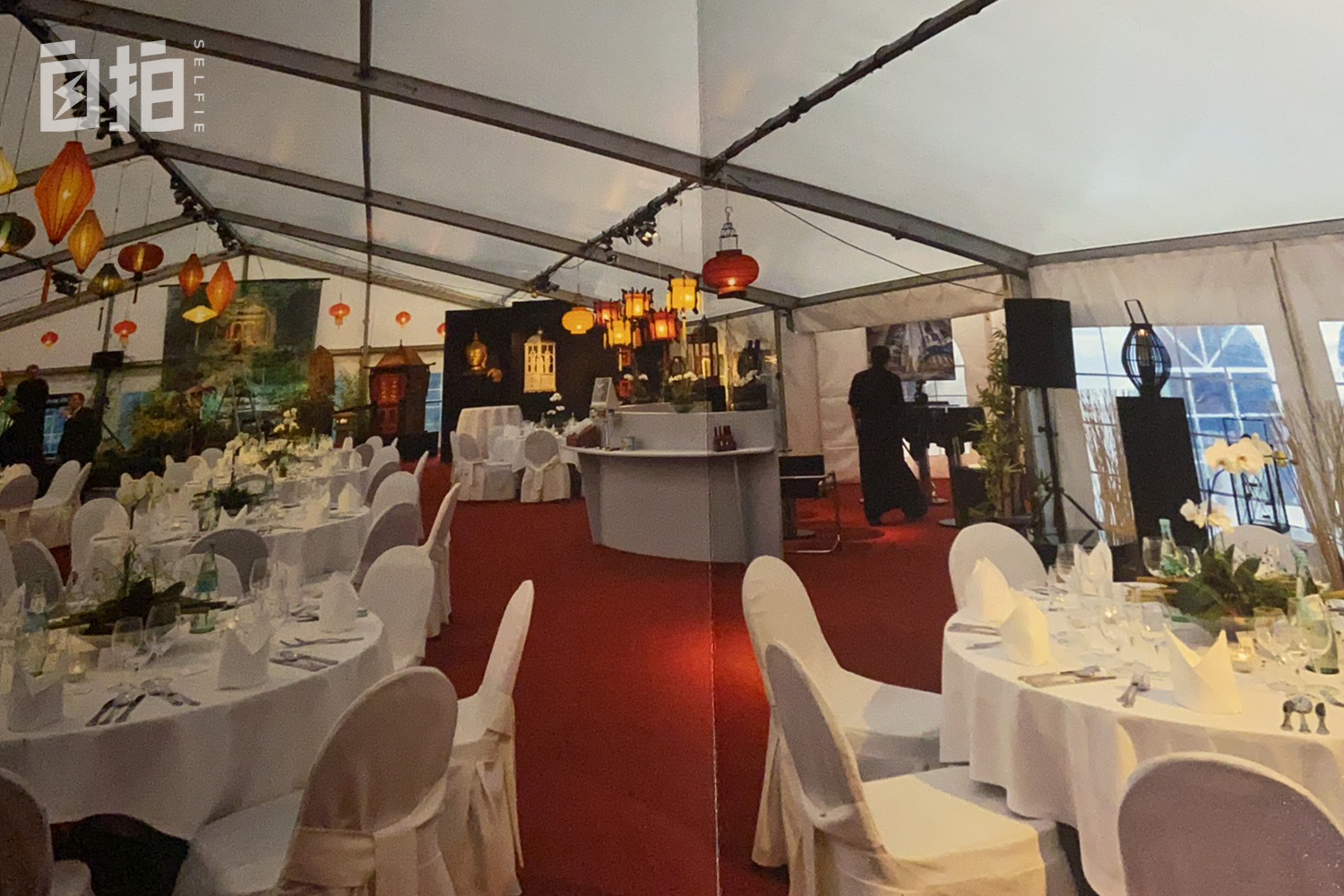 我，上海女人，曾婚姻失败，拒绝金丝雀的生活，37岁找到德国真爱