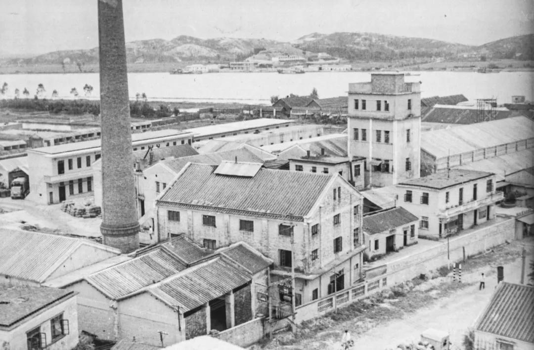 珠海斗门皇妹啤酒,斗门皇妹啤酒