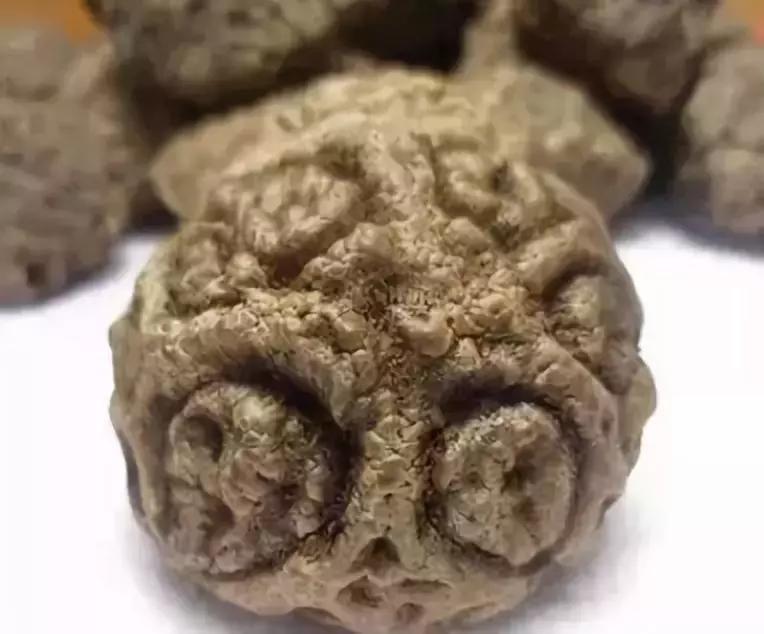 菩提108颗手串极品照片,千眼菩提手串变色图解