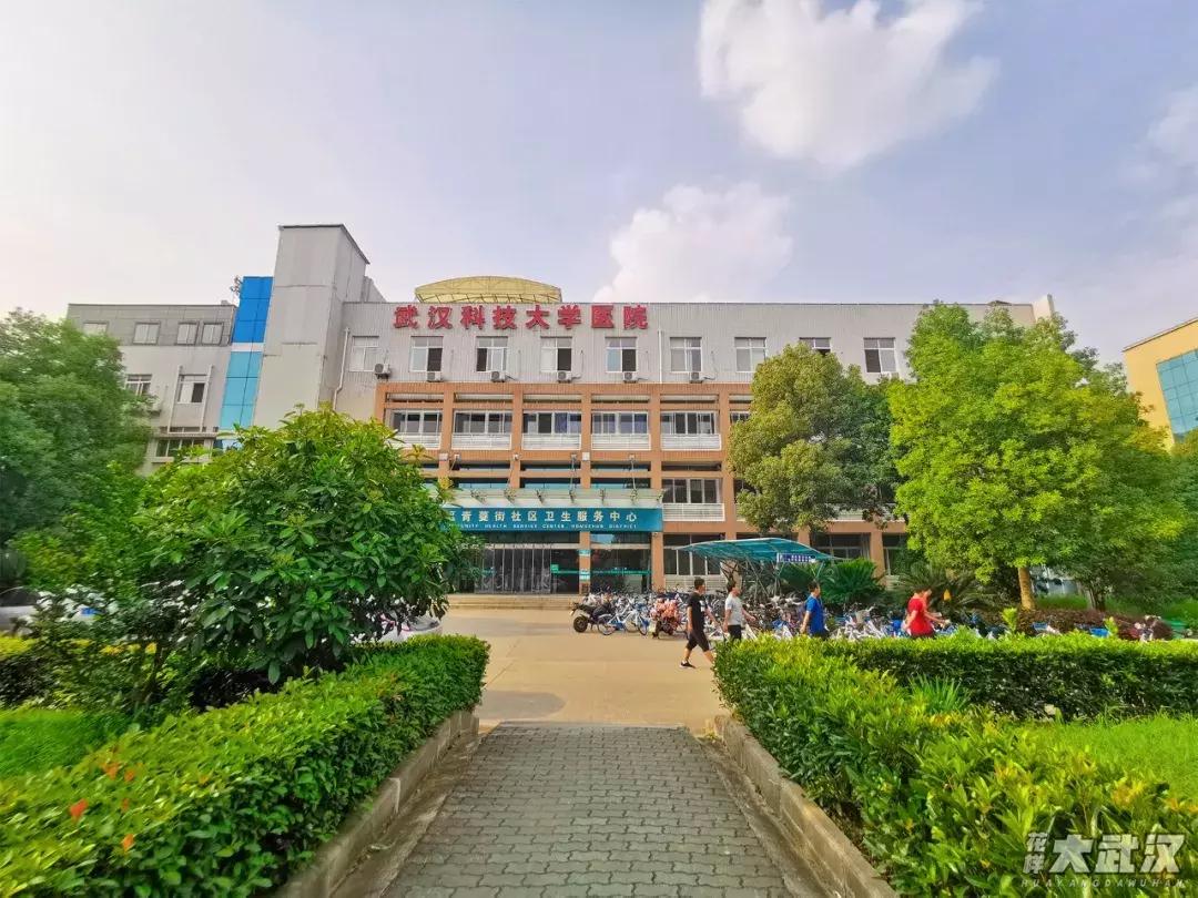 武汉科技大学的机械学院,武汉科技大学医学院和临床学院