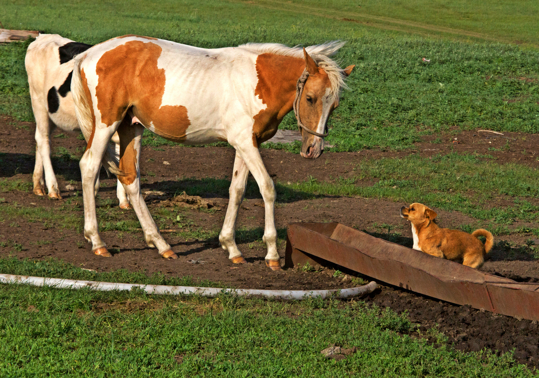 拍马都追不上的成语,拍马都赶不上的成语