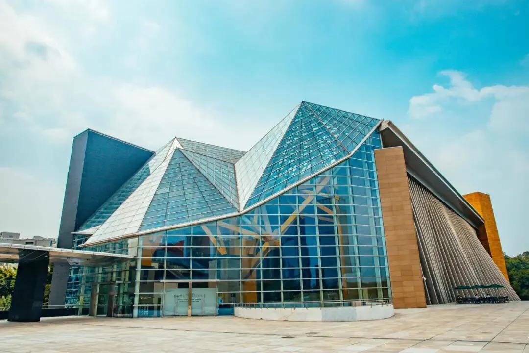 深圳花海景区推荐图片大全,深圳哪里有大片花海