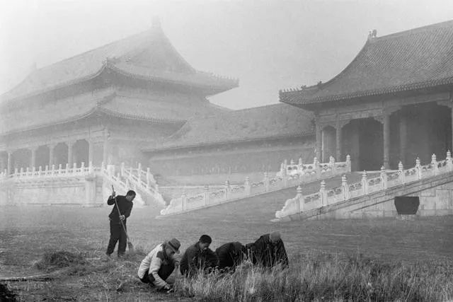 Essence|No.1你所未见的世界