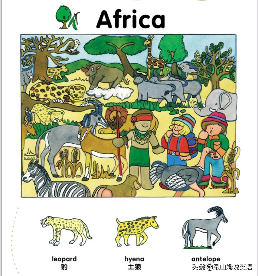 90幅图速记1000个初中英语单词,90幅图轻松记1000个单词