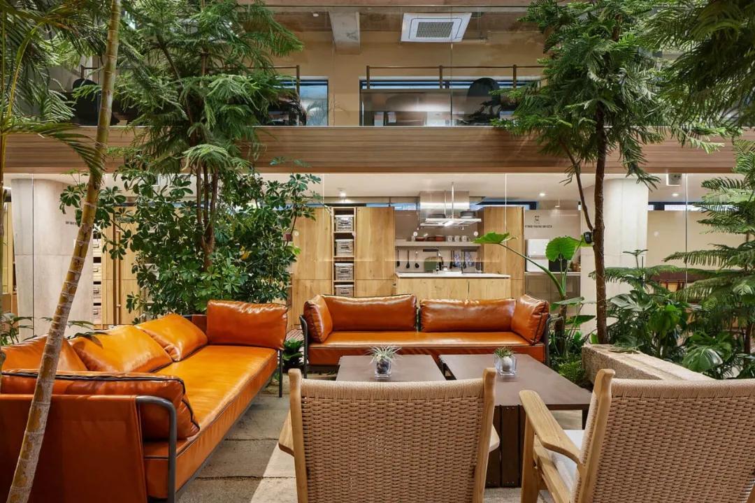 亚洲最好的共享公寓,高档共享公寓