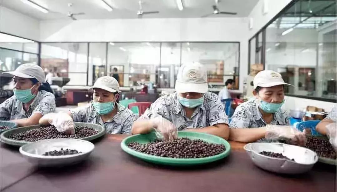 为什么红豆薏米水有的人喝了有用,红豆薏米水谁都可以喝吗