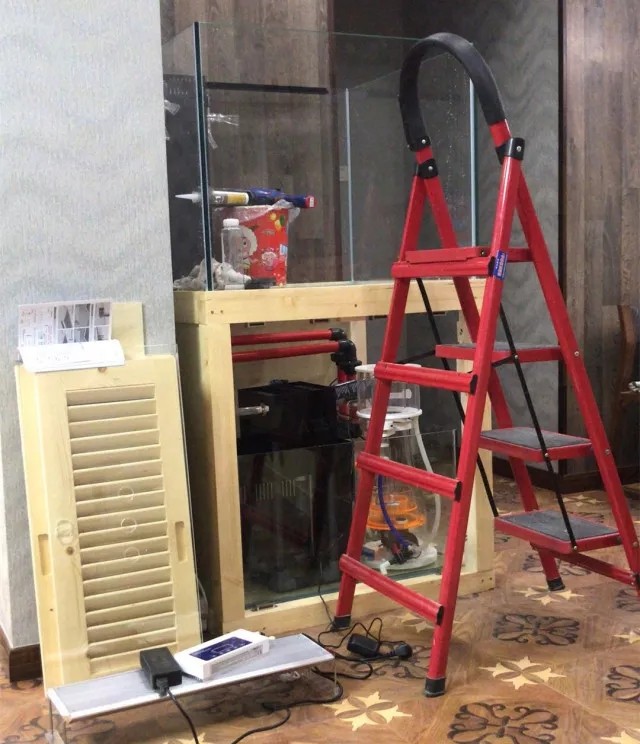 自己做鱼缸注意事项,家里做鱼缸需要注意什么