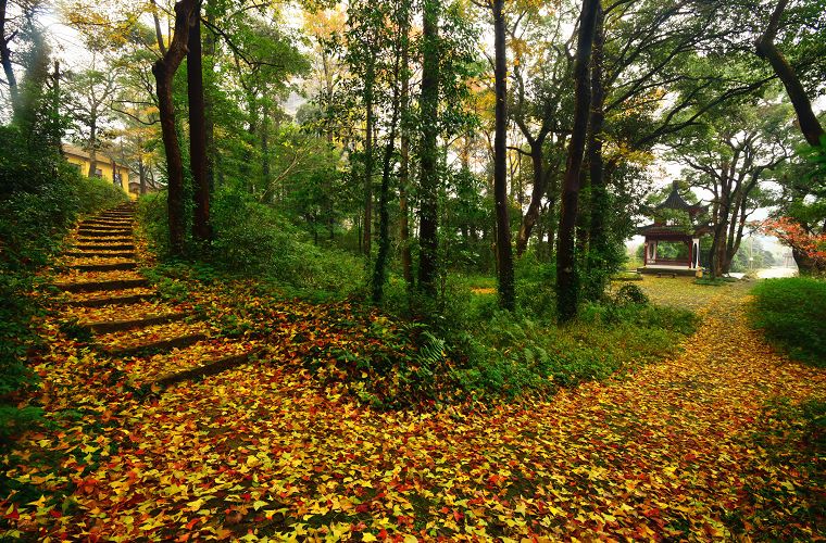爬完所有雪山就释怀,爬完所有的名山