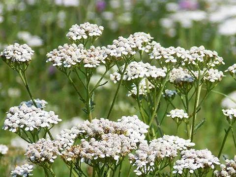 个案研习社|湿疹瘙痒难耐，“对症下药”是关键