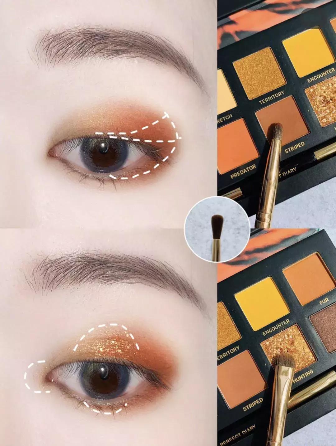 眼影怎么画新手教程,单眼皮怎样画眼影好看