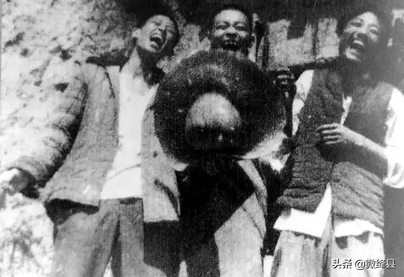 我的知青史30篇,我的知青历史39