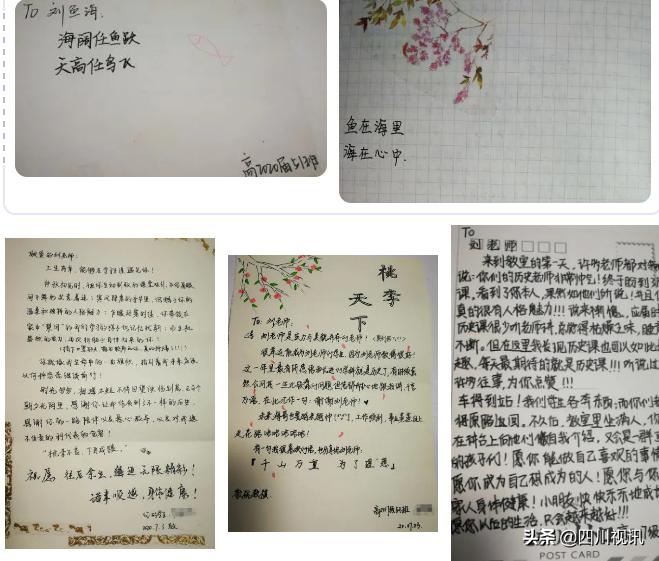 鱼跃此时海，花开彼岸天——南充高中北部新城校区名师刘鱼海印象