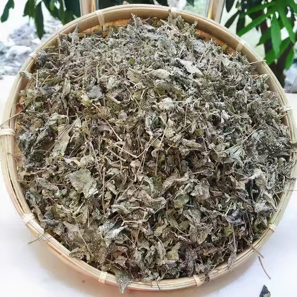 宽叶莓茶张家界,芽美张家界莓茶