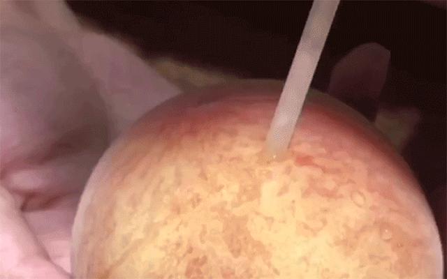 无锡水蜜桃一桃难求,水蜜桃最高可以卖多少元