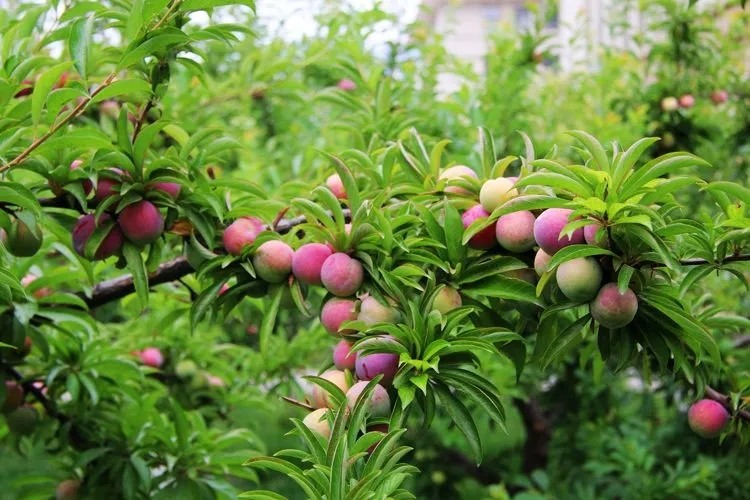 最后30天语文备考方案,工作点滴100字