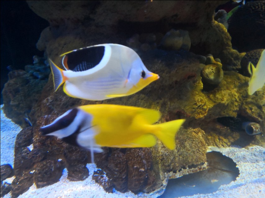 北京工体富国海底世界周一营业,北京工体富国海底世界旅馆