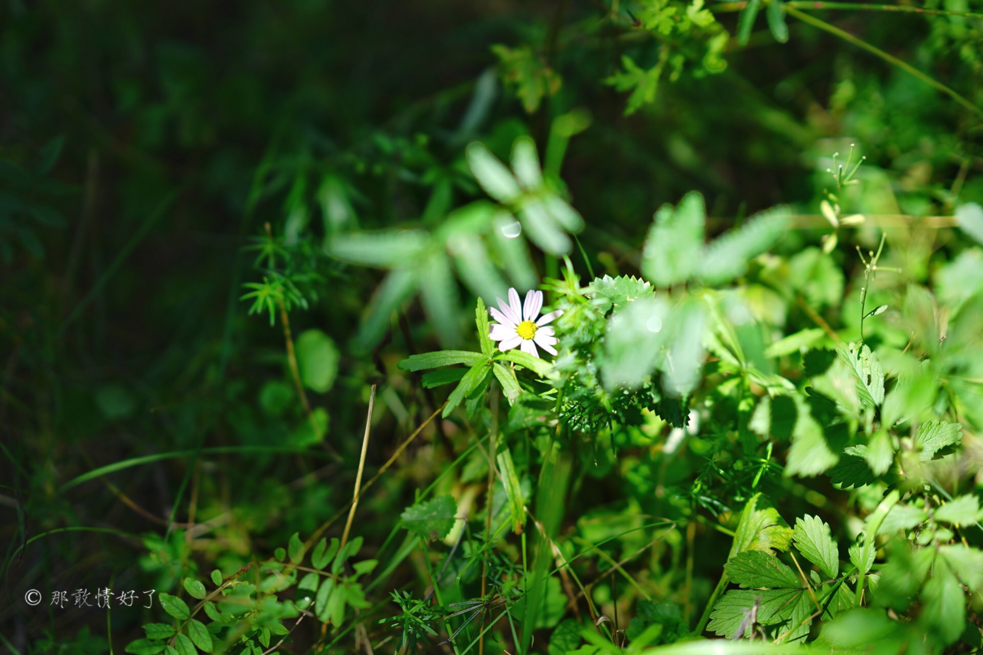 北京北部看红叶自驾线路推荐,冬季京西自驾游最佳线路
