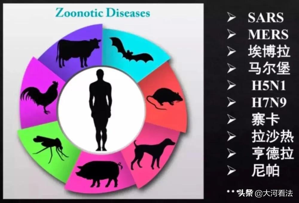 哪些动物属于野味,野生动物哪种最好吃