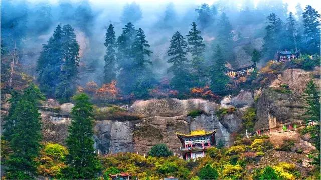 绿色和政春深夏浅风光好山美花浓待君来