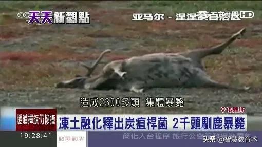 意大利确诊超20万例,意大利确诊破万